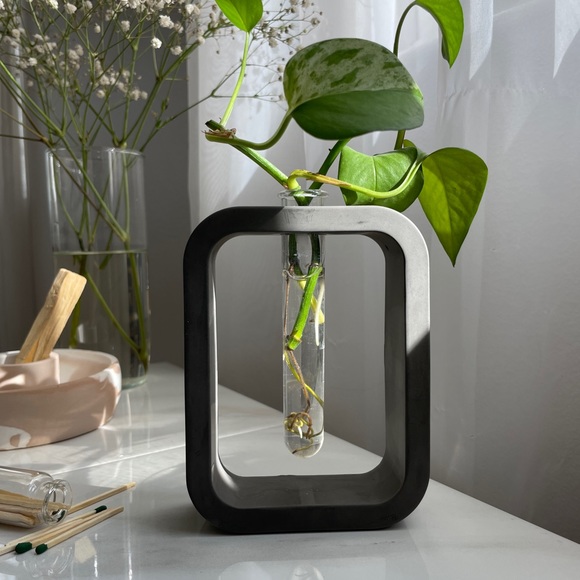 Propagation Vase - Picture 7 of 9